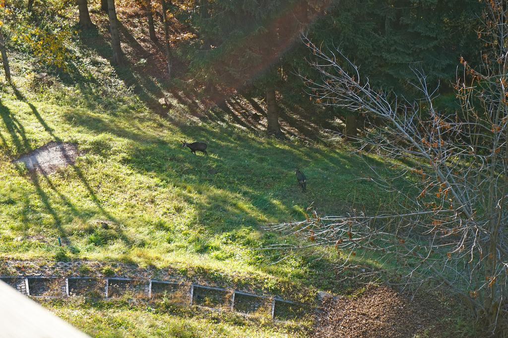 Domaine De La Croix De Javernaz Villars-sur-Ollon Buitenkant foto