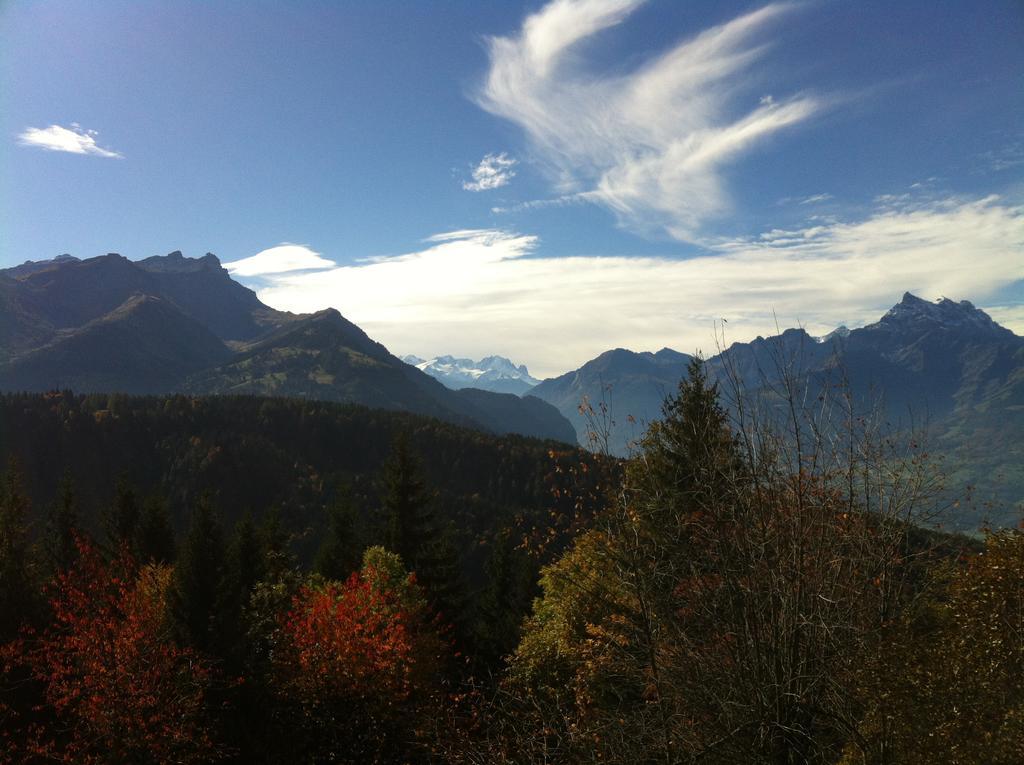 Domaine De La Croix De Javernaz Villars-sur-Ollon Buitenkant foto